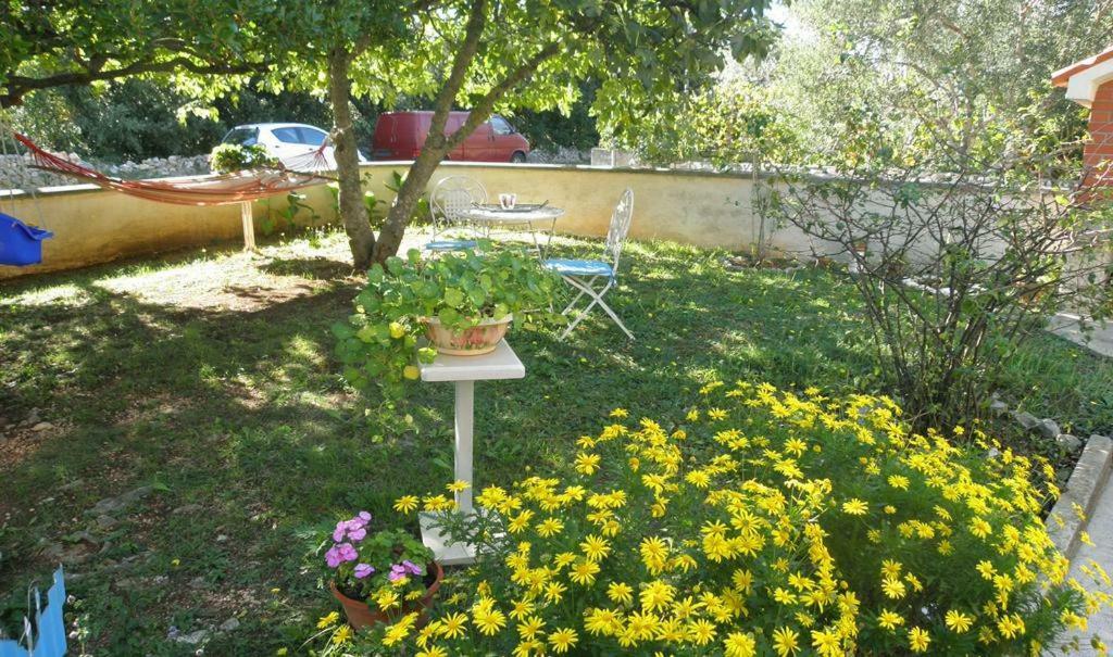 Apartmani Volga Petrčane Exterior foto