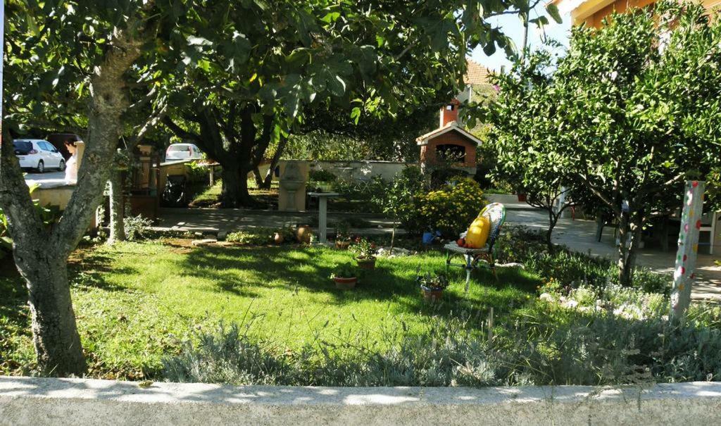 Apartmani Volga Petrčane Exterior foto